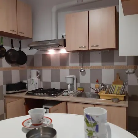 Хостел Carol 51 *