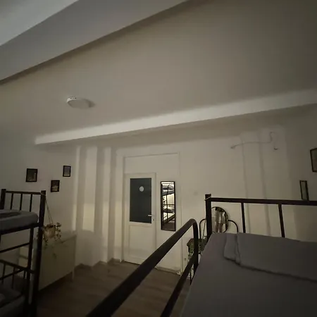 Carol 51 אכסניה