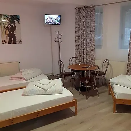 Hostel Carol 51
