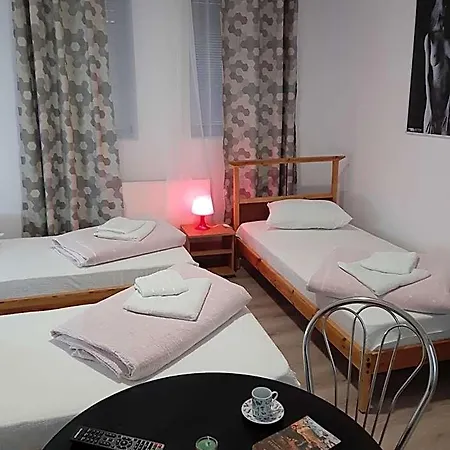 Hostel Carol 51