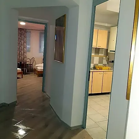 Hostel Carol 51