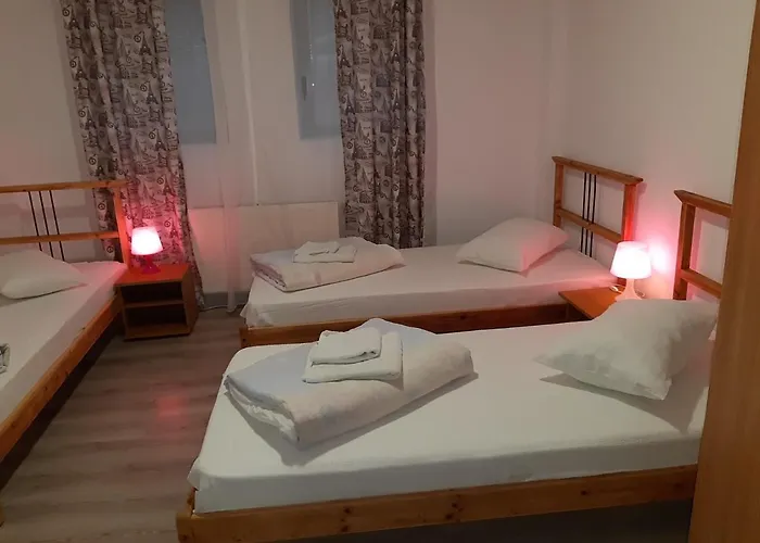 Хостел Carol 51