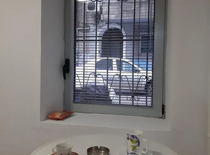 Carol 51 Хостел