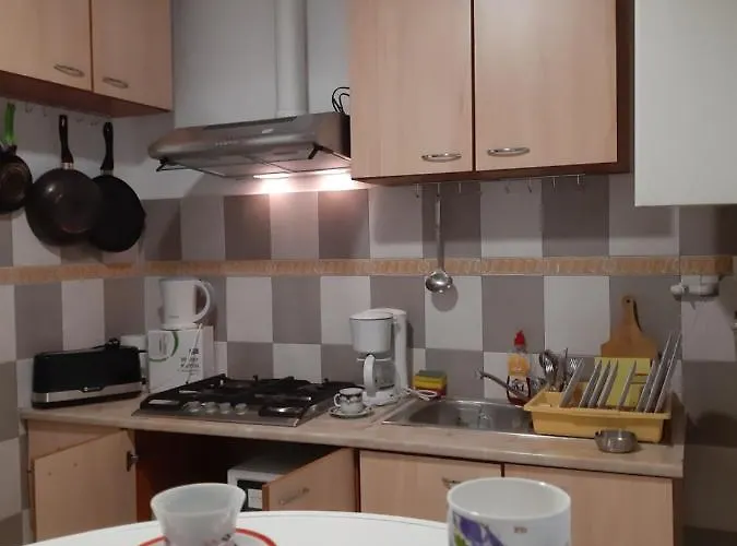 Хостел Carol 51 *